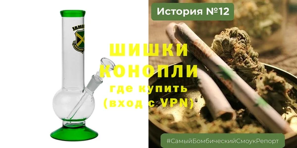 дживик Елизово