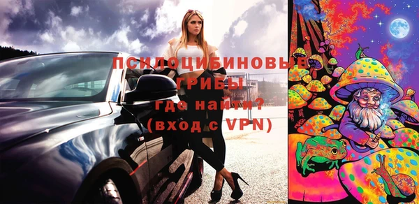 дживик Елизово
