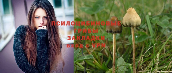 дживик Елизово
