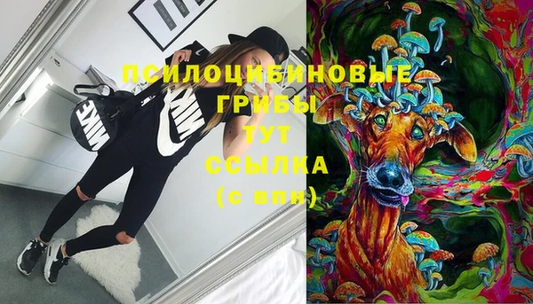дживик Елизово