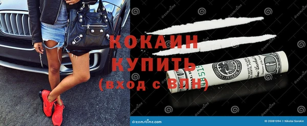 тгк Дмитров